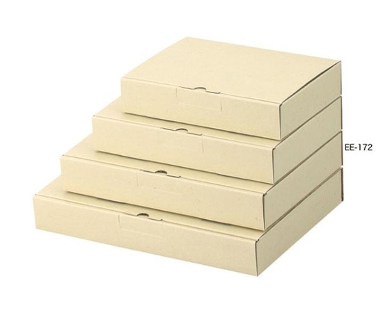 ヤマニパッケージ 宅配用 宅送用ギフト箱 4cm 100枚 EE-172 1ケース（ご注文単位1ケース）【直送品】