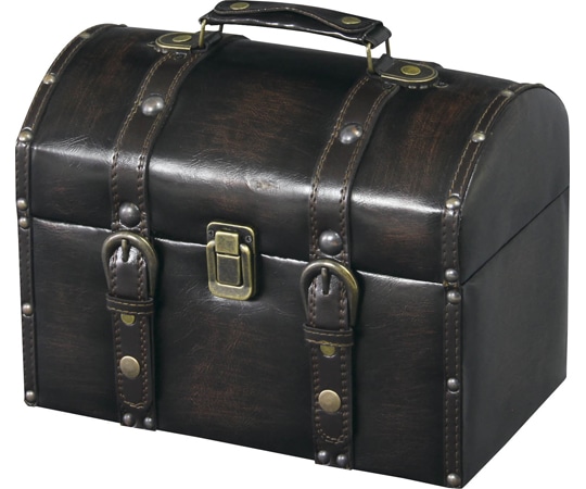 東谷 トランク ダークブラウン IW-875 1個（ご注文単位1個）【直送品】