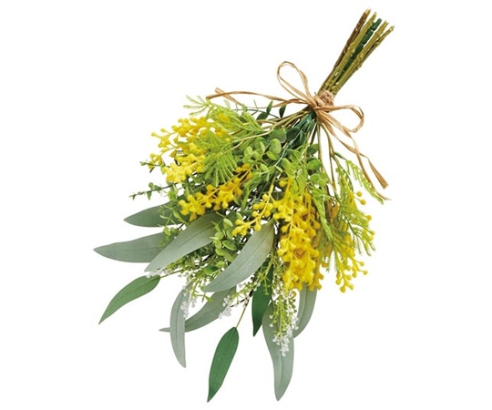 アズワン ミモザスワッグ 23-17-3-1 1個(ご注文単位1個)【直送品】