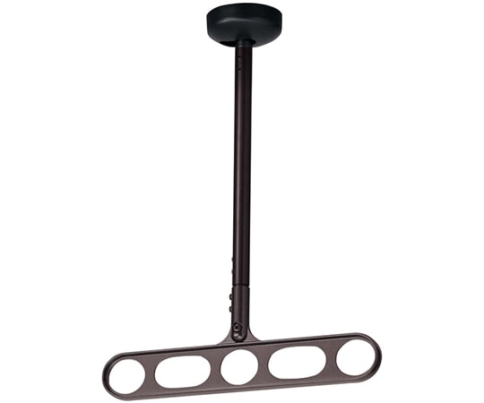 川口技研 ホスクリーン 軒天用 屋外物干し金物 ダークブロンズ 2本入 Z-107-DB 1セット（ご注文単位1セット）【直送品】