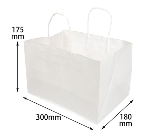 ヤマニパッケージ 紙袋 片ツヤ晒手提袋 175 マチ広(小) 200枚 19-594 1ケース（ご注文単位1ケース）【直送品】