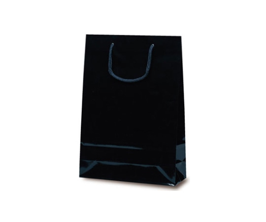 ベルベ 紙袋 ナイスバッグ ブラック 50枚 1151 1ケース（ご注文単位1ケース）【直送品】