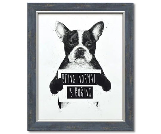 ユーパワー バラズス ショルティ｢ノーマル イズ ボアリング｣ BS-12005 1個（ご注文単位1個）【直送品】