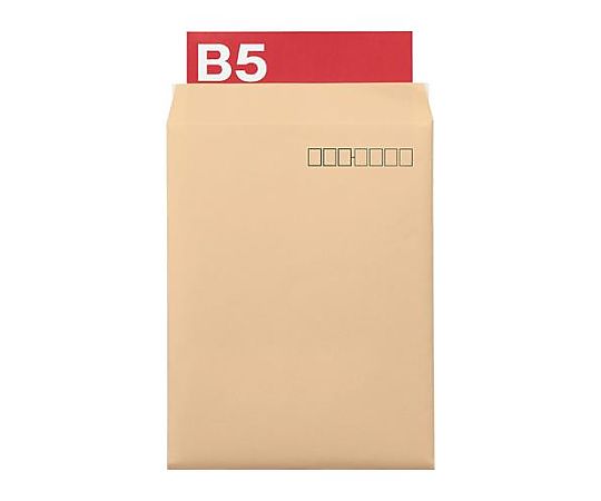 ライオン事務器 216x277mm クッション封筒(郵便枠あり/10枚) EA762GF-23 1パック(ご注文単位1パック)【直送品】