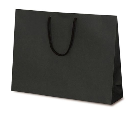 ベルベ 紙袋 手提袋 T-Y カラークラフト ブラック 100枚 1043 1ケース（ご注文単位1ケース）【直送品】