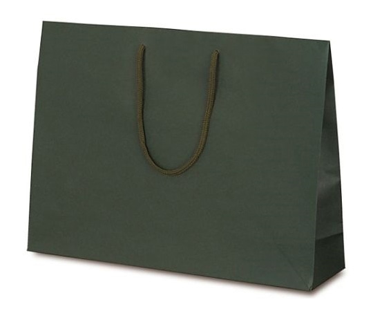 ベルベ 紙袋 手提袋 T-Y カラークラフト グリーン 100枚 1042 1ケース(ご注文単位1ケース)【直送品】