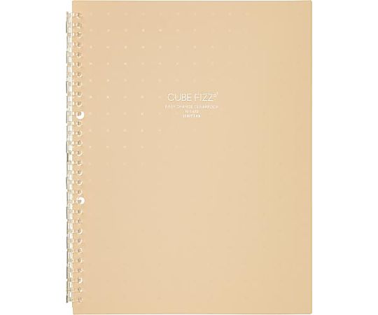 LIHITLAB イージーチェンジ・クリヤーブック ベージュ N6482-16 1冊(ご注文単位1冊)【直送品】