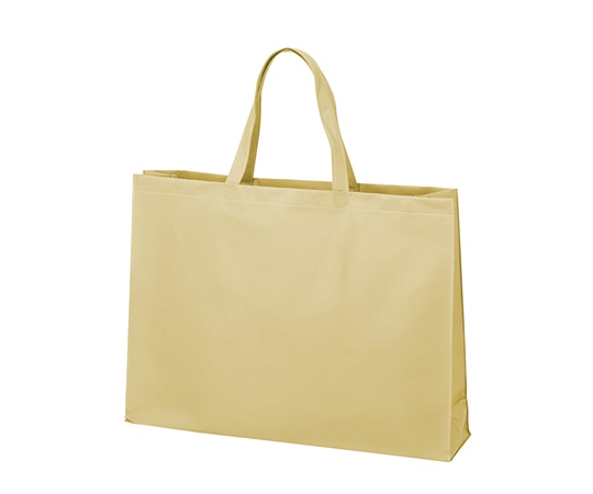 アズワン 不織布バッグ 角底 大 ベージュ 1箱(100枚入) LC0452AE00 1箱(ご注文単位1箱)【直送品】