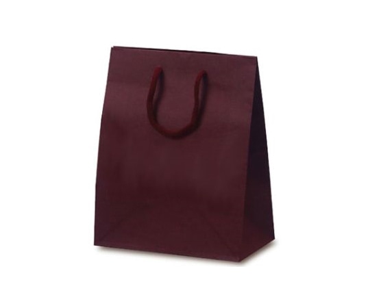 ベルベ 紙袋 手提袋 T-2 カラークラフト ワイン 100枚 1024 1ケース(ご注文単位1ケース)【直送品】