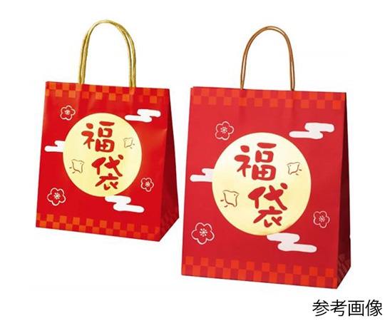 ストア・エキスプレス 手提げ福袋 福王 30×13×35cm 10枚 28-151-2-2 1セット（ご注文単位1セット）【直送品】