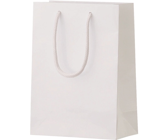 丸玉工業 シャイニーバッグ XS ホワイト 100枚入  1ケース（ご注文単位1ケース）【直送品】