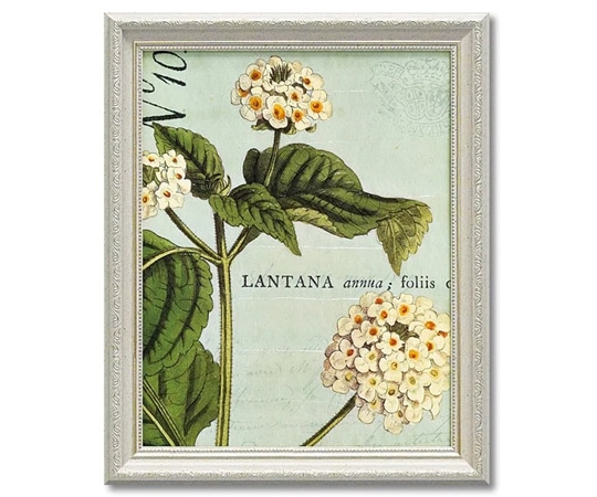 ユーパワー ワイルド アップル スタジオ｢ボタニーク ブルー1｣ WA-06005 1個（ご注文単位1個）【直送品】