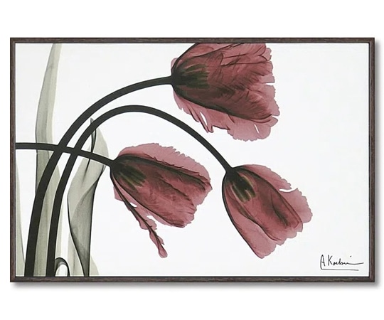 ユーパワー X RAY キャンバスアート｢フリンジ チューリップ(Sサイズ)｣ XR-03809 1個（ご注文単位1個）【直送品】