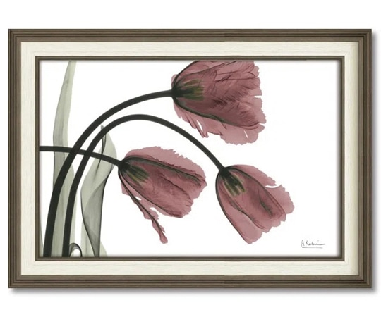 ユーパワー X RAY キャンバスアート｢フリンジチューリップ(Mサイズ)｣ XR-12020 1個（ご注文単位1個）【直送品】