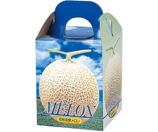 ヤマニパッケージ 青果用贈答箱 ピュアメロン 1個入 台紙付 100枚 L-339T 1ケース（ご注文単位1ケース）【直送品】
