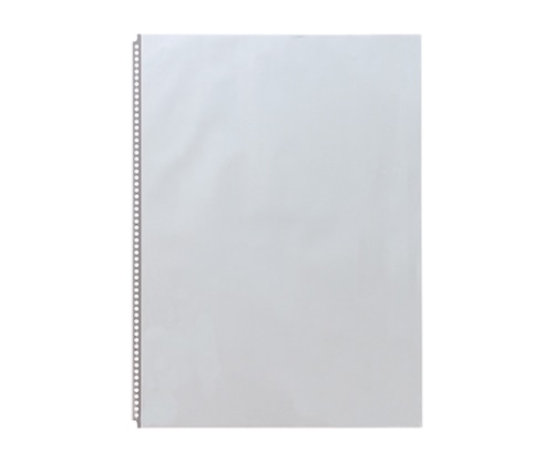 LIHITLAB P.P.クリヤーポケット 1組(10枚入) N1480 1組(ご注文単位1組)【直送品】