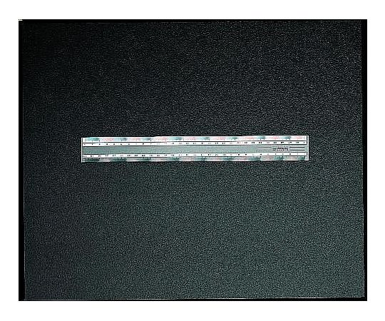 エスコ 16cm 定規 EA720YG-16 1本(ご注文単位1本)【直送品】