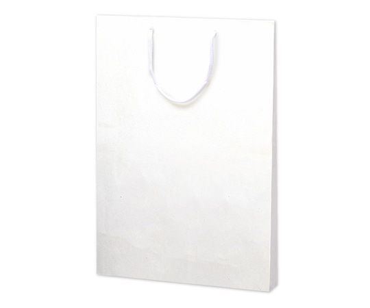 ササガワ 手提げ袋 額縁用 390×45×510mm 10枚入 50-6900 1包（ご注文単位1包）【直送品】