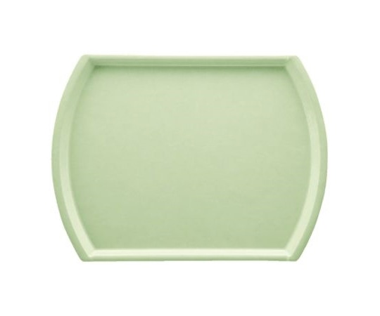 Daiwa オーバルトレー パステルグリーン AP-1944-PG 1個(ご注文単位1個)【直送品】