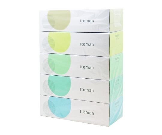 イトマン ECOティシュ200ダブル5個パック×10パック入 20200002 1ケース（ご注文単位1ケース）【直送品】