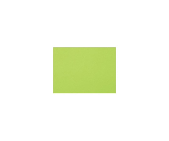 エリエール(大王製紙) 再生色画用紙 8ツ切 10枚 マスカット  1パック(ご注文単位1パック)【直送品】