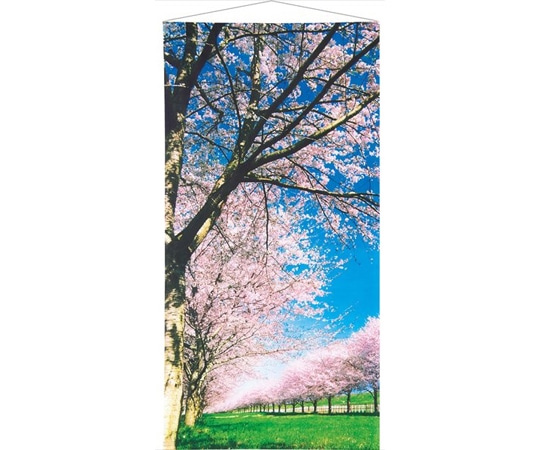 アズワン タペストリー 新桜並木 90×180cm 防炎加工 23-25-7-1 1個（ご注文単位1個）【直送品】
