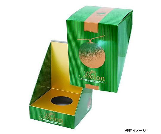 ヤマニパッケージ 青果用贈答箱 メロン飾 グリーン 100枚 L-2351 1ケース（ご注文単位1ケース）【直送品】