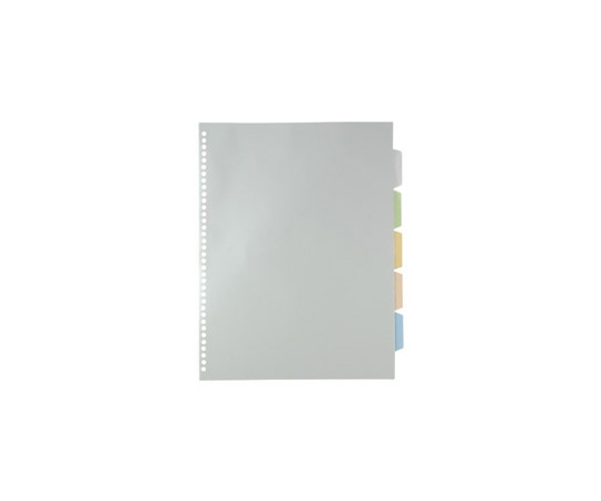 キングジム 透明インデックス ポケット B4S 104CK 1組(ご注文単位1組)【直送品】