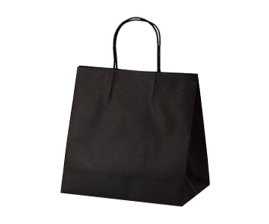 ベルベ 紙袋 マットバッグ MSワイド ブラック 100枚 1765 1ケース(ご注文単位1ケース)【直送品】