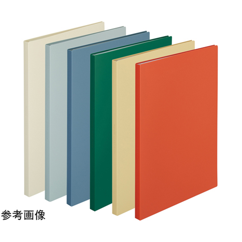 LIHITLAB Mutual クリヤーブック A4 スレートブルー 20P N2400-11 1冊（ご注文単位1冊）【直送品】
