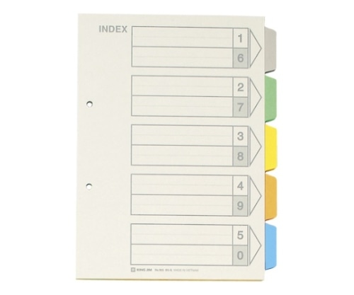キングジム カラーインデックス B5タテ型 905 1冊(ご注文単位1冊)【直送品】