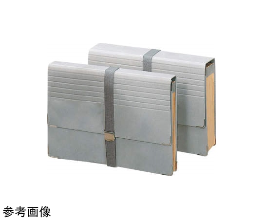 ライオン事務器 ドキュメントファイル DC-431N 1冊(ご注文単位1冊)【直送品】