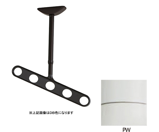 川口技研 ホスクリーン 軒天用 屋外物干し金物 ピュアホワイト 2本入 ZAN-0650-PW 1セット（ご注文単位1セット）【直送品】