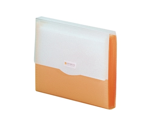 LIHITLAB リクエスト ドキュメントファイル 4オレンジ G5610 G5610-4 1冊(ご注文単位1冊)【直送品】