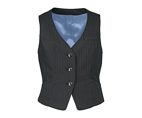 カーシーカシマ ENJOY ベスト 美スラッとSuits TREVIRA STRIPE 13号 EAV475 1枚（ご注文単位1枚）【直送品】