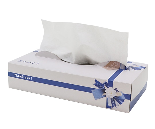 イトマン ありがとうティシュ120ダブル(N)×60個入 20120142 1ケース（ご注文単位1ケース）【直送品】