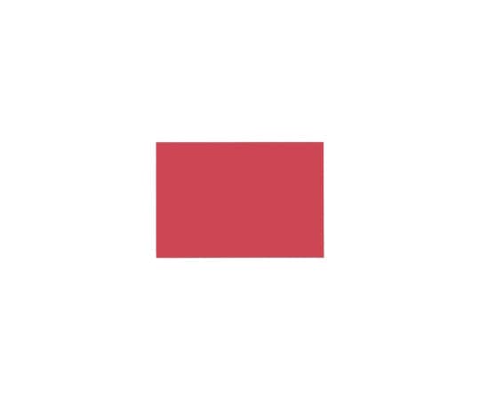 エリエール(大王製紙) 再生色画用紙 8ツ切 10枚 えんじ C-22 1冊(ご注文単位1冊)【直送品】