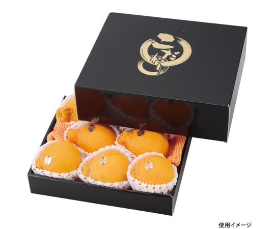 ヤマニパッケージ 贈答箱 こだわりの黒(中) 50枚 L-2219 1ケース（ご注文単位1ケース）【直送品】