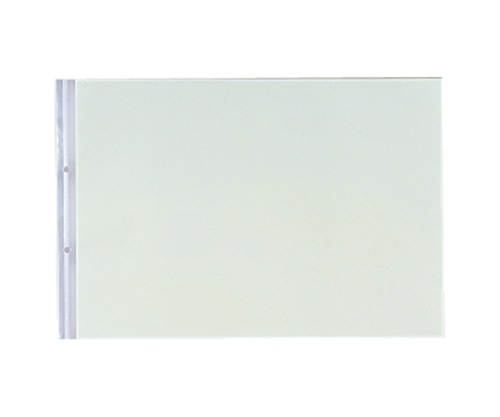 LIHITLAB P.P.クリヤーポケット 1組(10枚入) N2017 1組(ご注文単位1組)【直送品】