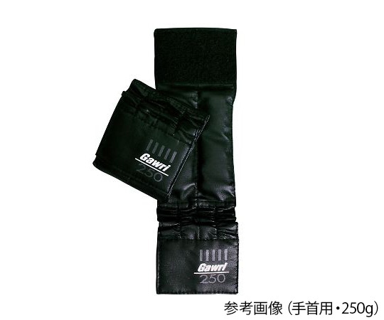 秦運動具工業 ガウリ リストウエイト手首用 250g 1組（2個入） 25W2502 1組（ご注文単位1組）【直送品】