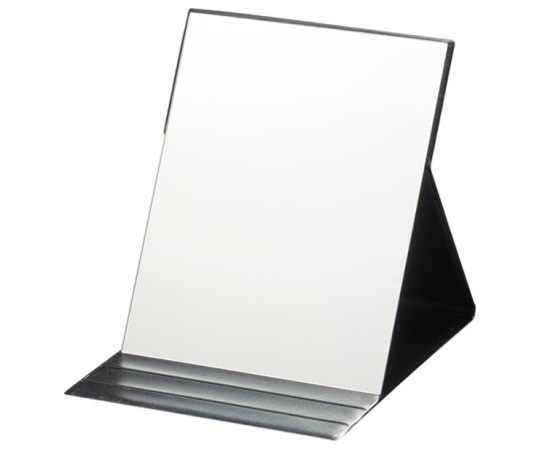 堀内鏡工業 プロモデル折立ナピュアミラー ブラック L AM-003BK 1個（ご注文単位1個）【直送品】