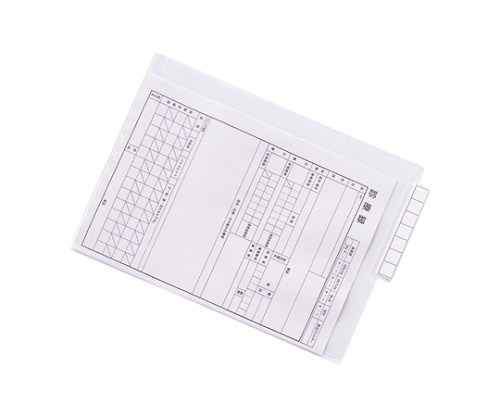 LIHITLAB カルテフォルダー・シングルポケット<厚とじ> 1乳白 HK708W 1箱（50枚入） HK708W-1 1箱（ご注文単位1箱）【直送品】