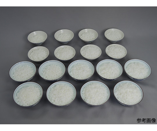 イワイサンプル フードモデル（穀類）ごはん 300g IWG-17 1個（ご注文単位1個）【直送品】