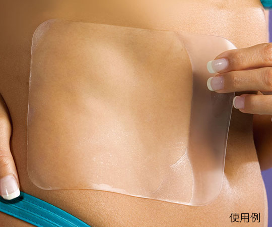 ザイコアインターナショナル エピダーム エピスタンダード 1枚入 クリア 1個(ご注文単位1個)【直送品】