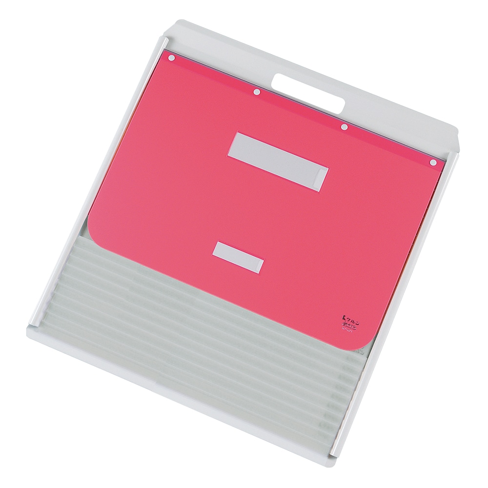 ケルン カーデックス（アルミタイプ・PP製ポケット） ポケット10枚付 ピンク KD-501-P 1個（ご注文単位1個）【直送品】