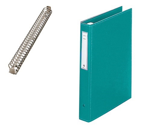 LIHITLAB カルテブック（スタンダード） 30穴タイプ ライトグリーン HB438-4 1冊（ご注文単位1冊）【直送品】