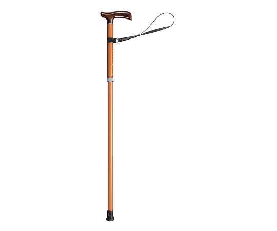 田辺プレス かるケイン L 柿茶 1本(ご注文単位1本)【直送品】