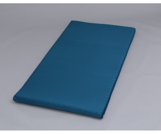 アイリスオーヤマ センターフィットマットレス MAF5-S 1個(ご注文単位1個)【直送品】