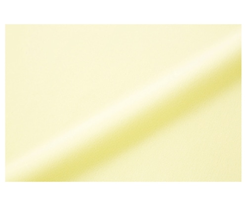 ケアファッション スムース防水シーツ（ダブル） クリーム 145×180cm 39152 1枚（ご注文単位1枚）【直送品】