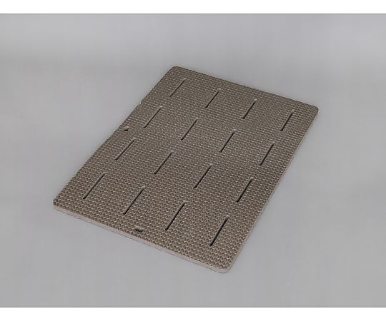 アイリスオーヤマ バスマット BM-6085E 1個(ご注文単位1個)【直送品】